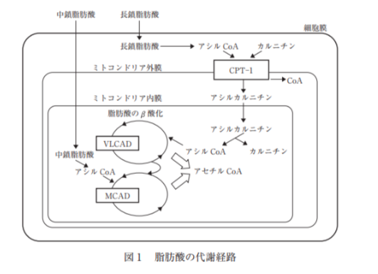 解説画像